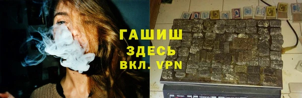 прущие грибы Волоколамск