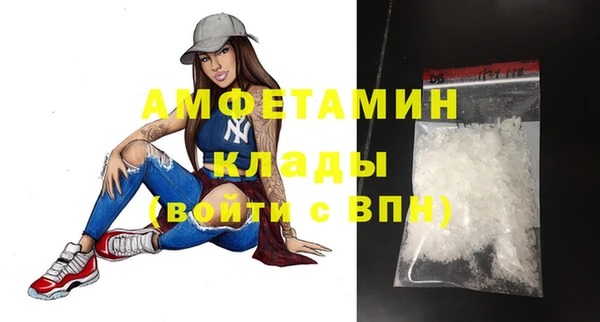 прущие грибы Волоколамск