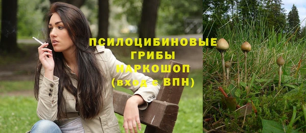 ПСИЛОЦИБИНОВЫЕ ГРИБЫ Вязьма