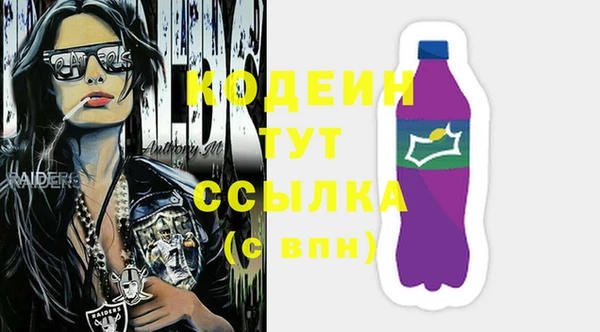 прущие грибы Волоколамск